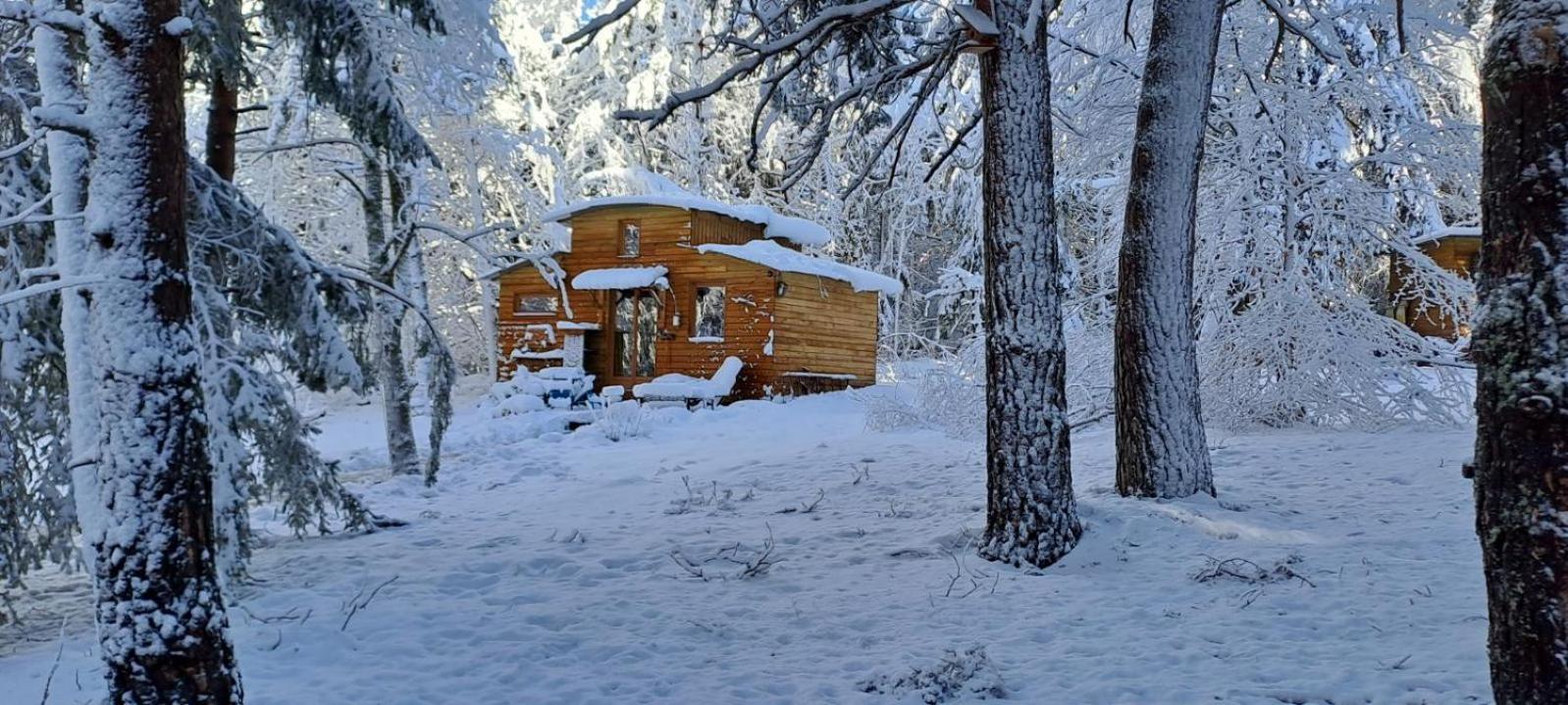 Chalet Cricri avec mezzanine Champclause Exterior foto
